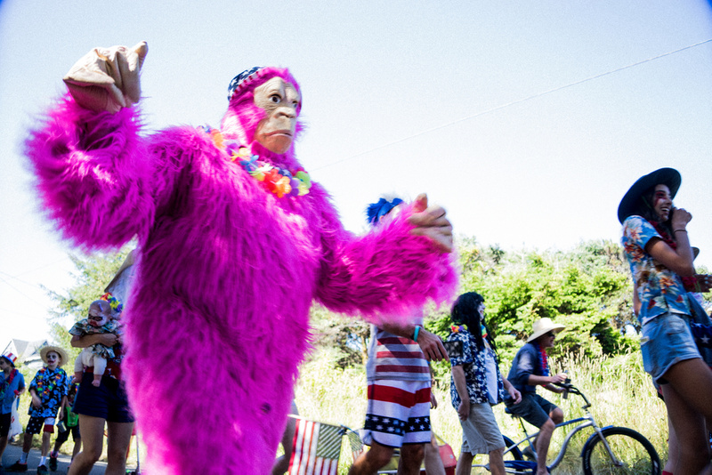 Pink Gorilla